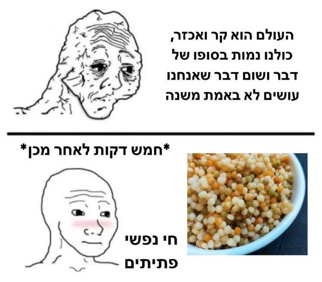 היה-לי-פטור-מצה-ל-אז-אני-עדיין-אוהבת-פתיתים-במ-v0-j8vlz4zkkcf81.webp
