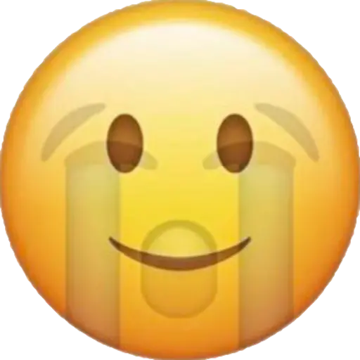 1000077551.webp
