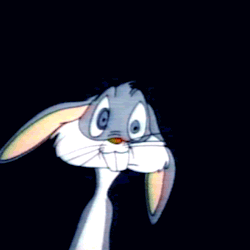 1000091976-gif.3031