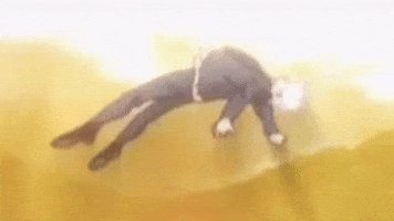 image (4).gif