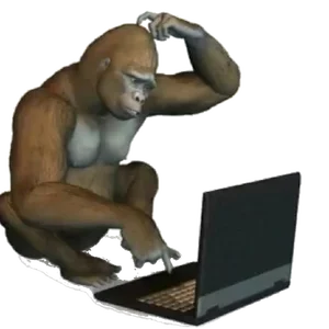 1000077550.webp