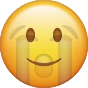 1000077551.webp