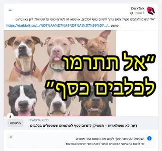 1789912306812.webp