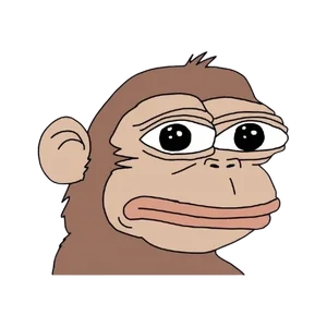 ללא_כותרת-removebg-preview.webp