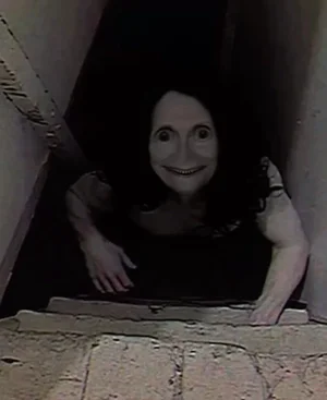 1791829322558.webp