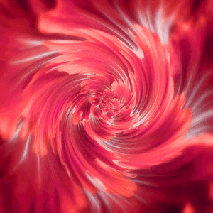 5c79e296d8e2bd1d54ba0bbb1f87100503e02894.gif
