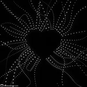 1b627dc51d308f84e51a5228f82b5375.webp