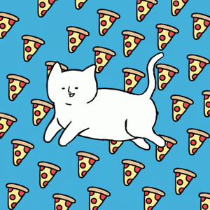 pizza-cat.gif