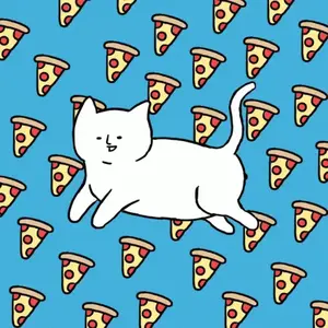 pizza-cat.webp