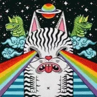trippy-cat.gif