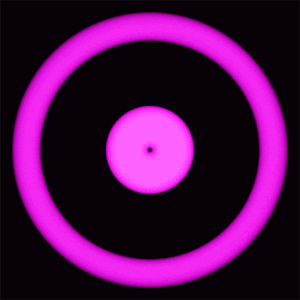 image.gif