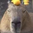 The.Chinabon.King